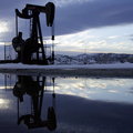 Styczeń miesiącem spadków na rynku ropy