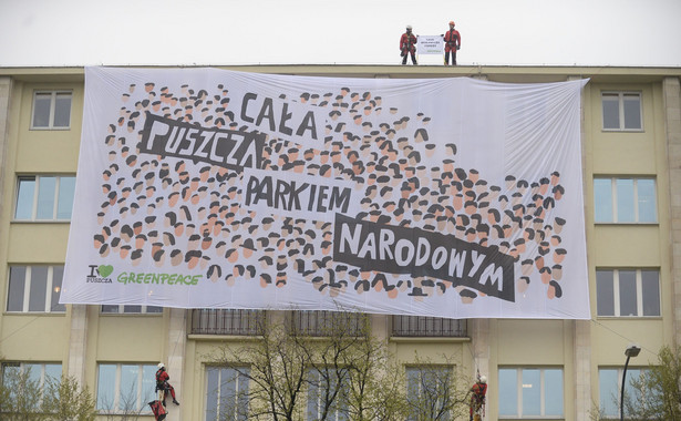 Greenpeace walczy o Puszczę Białowieską: Chcemy zapytać, czy prezes PiS poprze ideę Lecha Kaczyńskiego