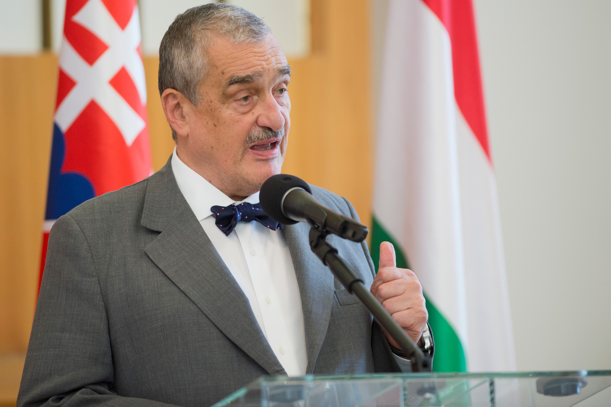 Politik Karel Schwarzenberg.