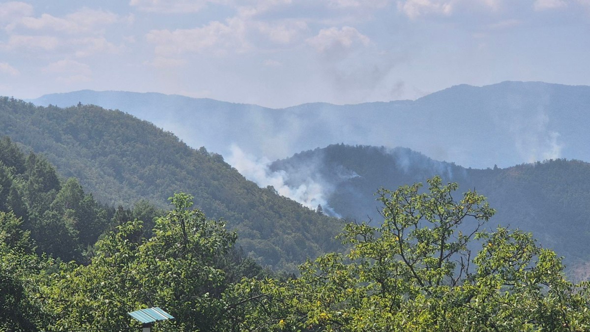 Požar na Stolovima
