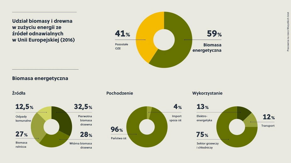 Infografika z raportu "Lasy do spalenia. Prawdziwa cena bioenergii" Pracowni na rzecz Wszystkich Istot