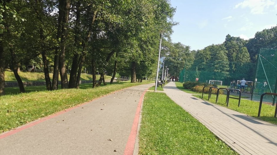 Bielsko-Biała. Piesi wchodzą na ścieżkę rowerową. Skończyło się źle