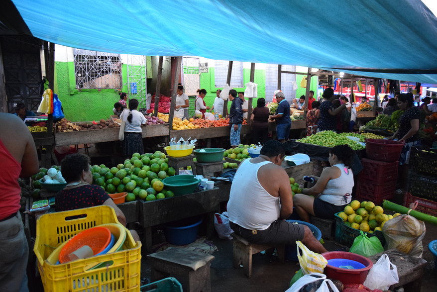 Iquitos. Kolekcja własna