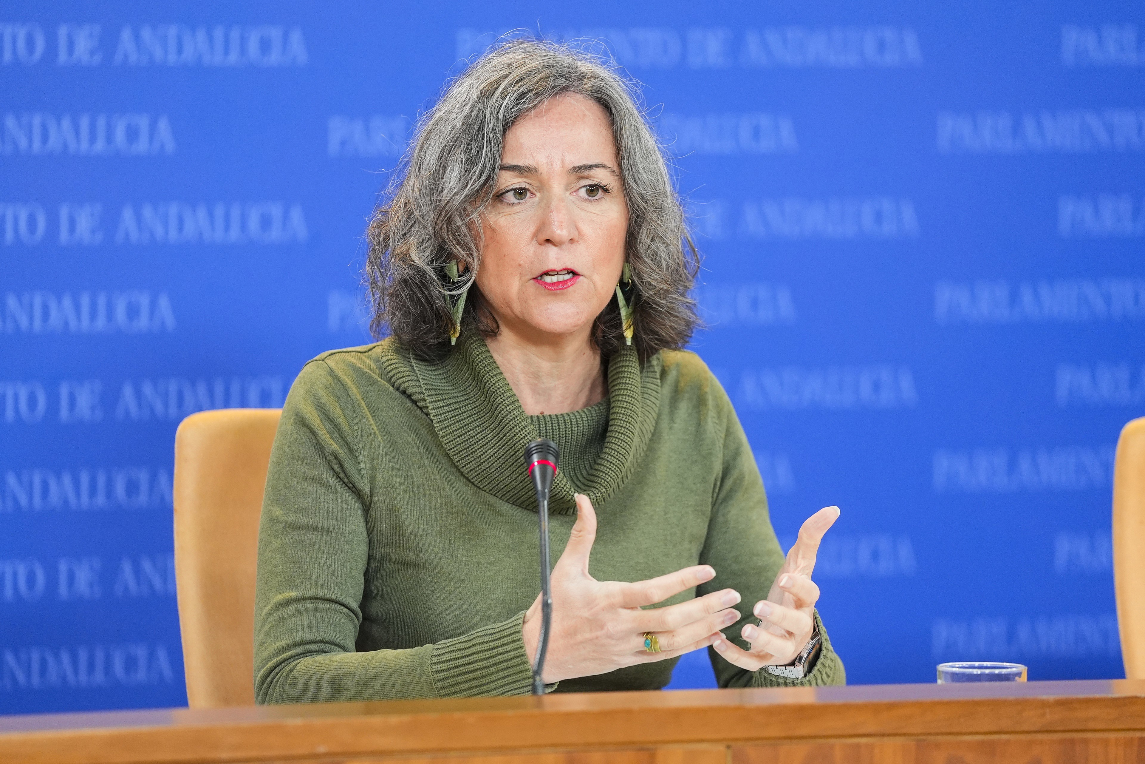 Vuelven a pedir el busto de Ana Orantes tras un año de silencio del PP