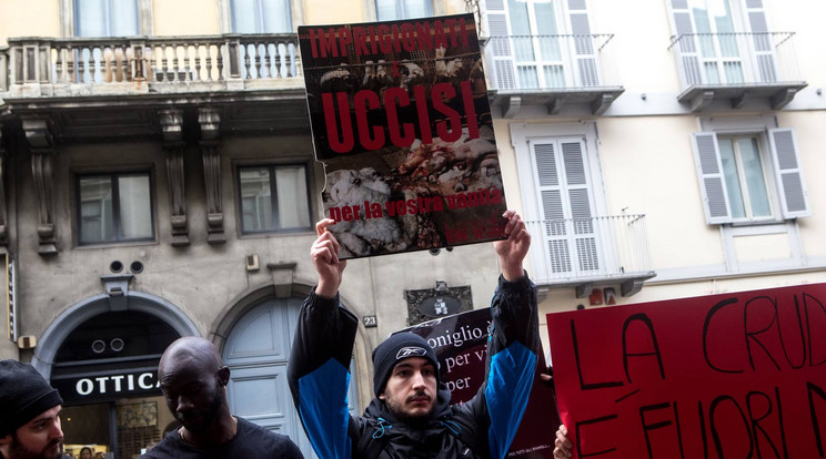Tüntetés a szőrmék használata ellen a Milánói Divathét alatt / Fotó: AFP
