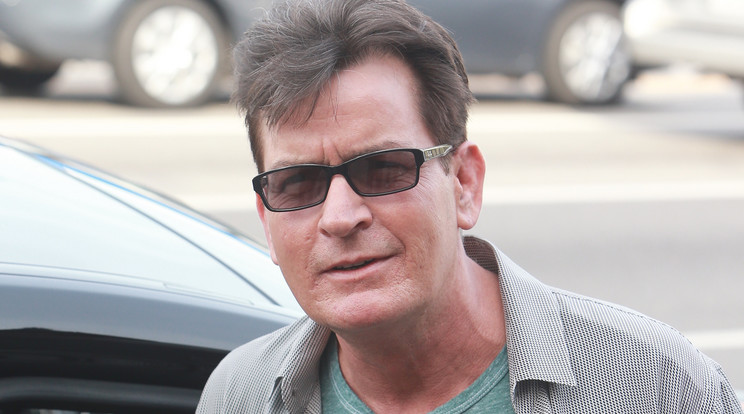 Charlie Sheen nem jó apa /Fotó: Northfoto