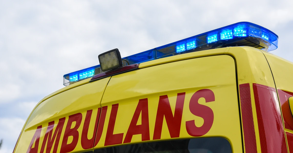 Trzy osoby zginęły w wypadku na drodze krajowej nr 8