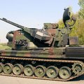 Problem rozwiązany? Brazylia chce wyposażyć niemieckie pojazdy Gepard w 300 tys. naboi