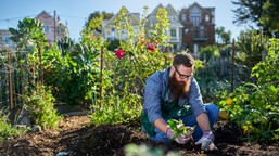 działkowcy stają do walki o swoje ogródki. rządowe plany mogą pozbawić