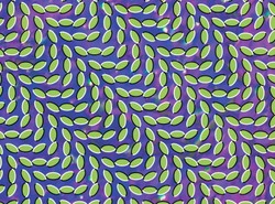 12 najlepszych płyt ostatnich 12 miesięcy