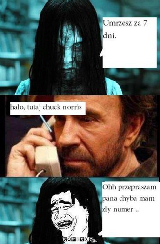 Chuck Norris - mem
