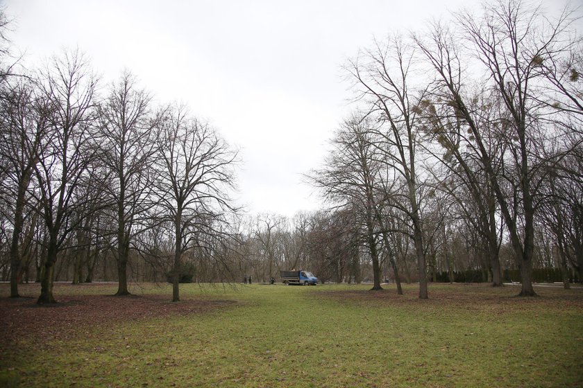 Wielka awantura o park Powstańców