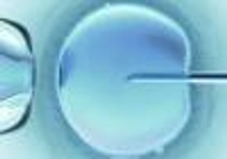 SLD domaga się od PO przyspieszenia prace nad refundacją in vitro