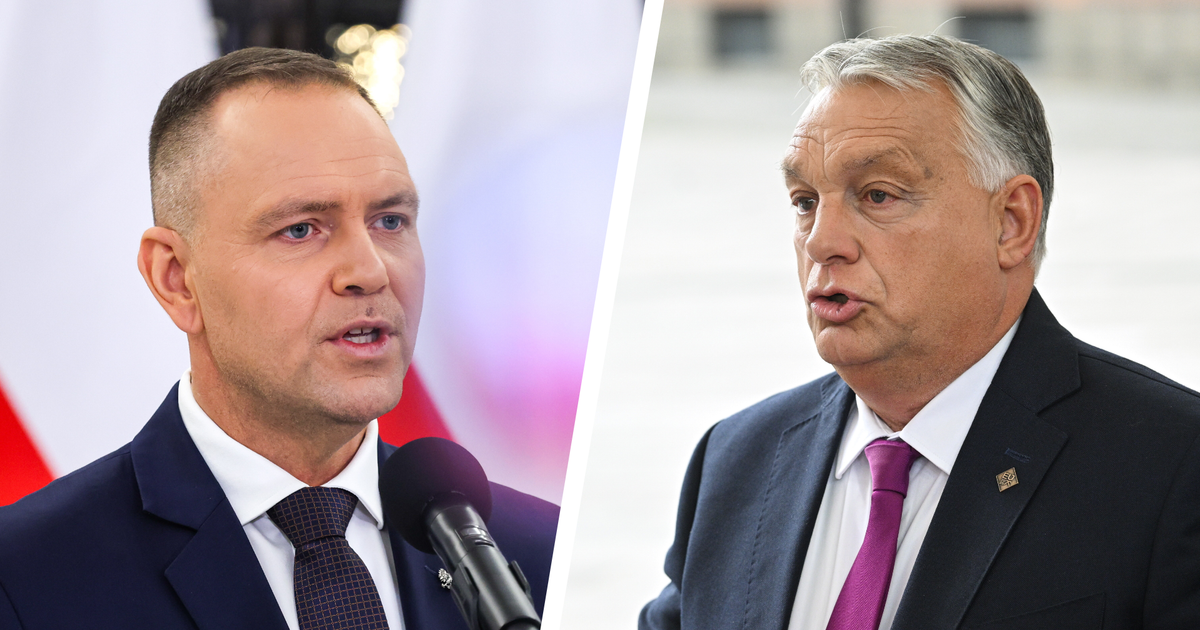 Wizyta prezydenta Nawrockiego u Orbana ma drugie dno. Pawlicki: to więcej niż błąd [OPINIA]