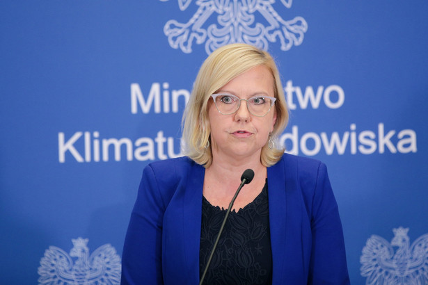 Minister Moskwa: Popieramy daleko idącą reformę rynku energii, by zmiany wpłynęły na obniżenie cen