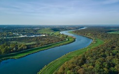 Śnięte ryby w Odrze. Zgorzelski tłumaczy się ze swych słów sprzed dwóch lat