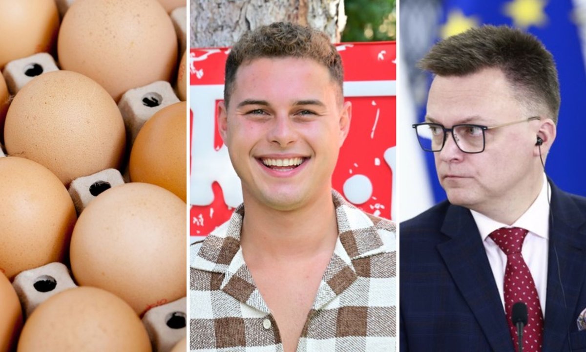 Prawda czy fałsz? 15 nieoczywistych pytań, które zmuszą cię do googlowania!