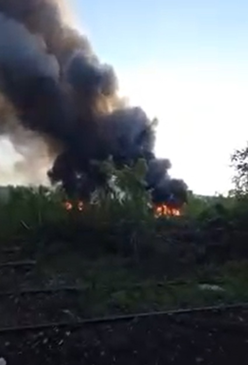 Požar na Košutnjaku