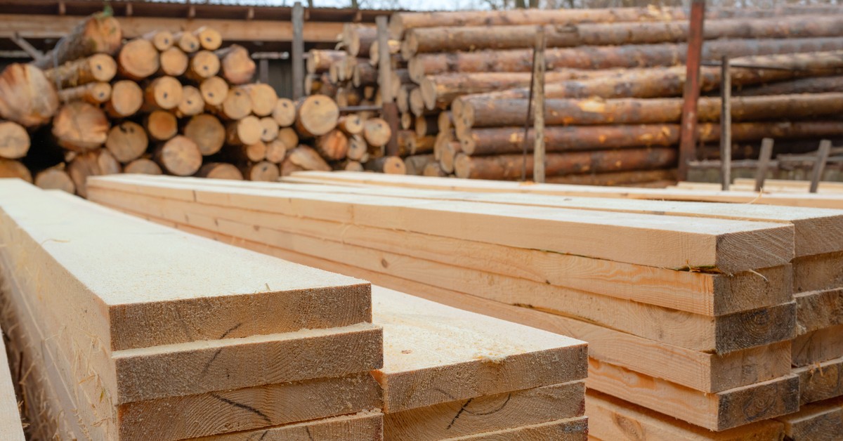 Drewno mocniejsze od stali. Naukowcy stworzyli rewolucyjny materiał