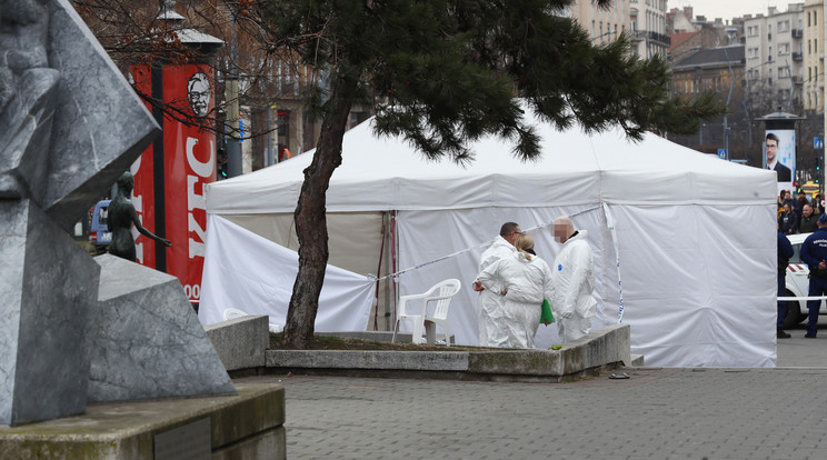 Halott őröket találtak a Deák téren, a választási aláírásgyűjtő sátorban/Fotó: Fuszek Gábor