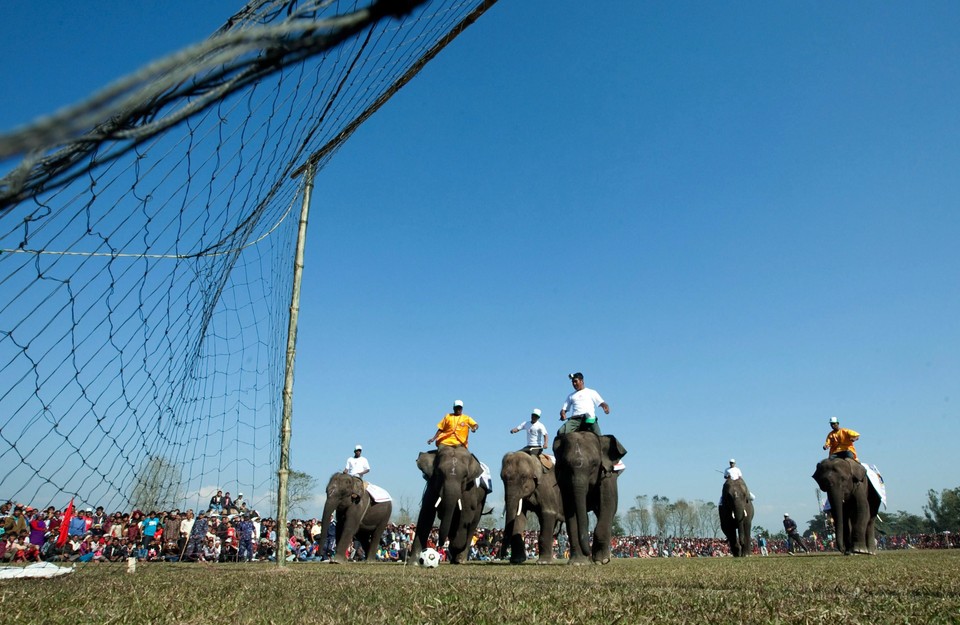 NEPAL ELEPHANT FOOTBAL