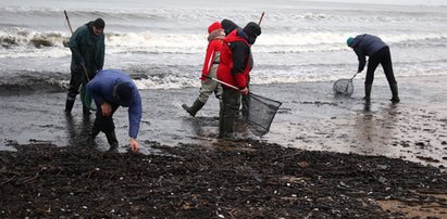 Bałtyk po sztormie wyrzucił skarby. Ludzie masowo przeczesują plaże!