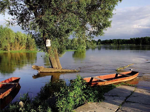 Galeria Rzeka nie jest ściekiem, obrazek 11