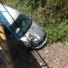 Automobil Biljane Čekić