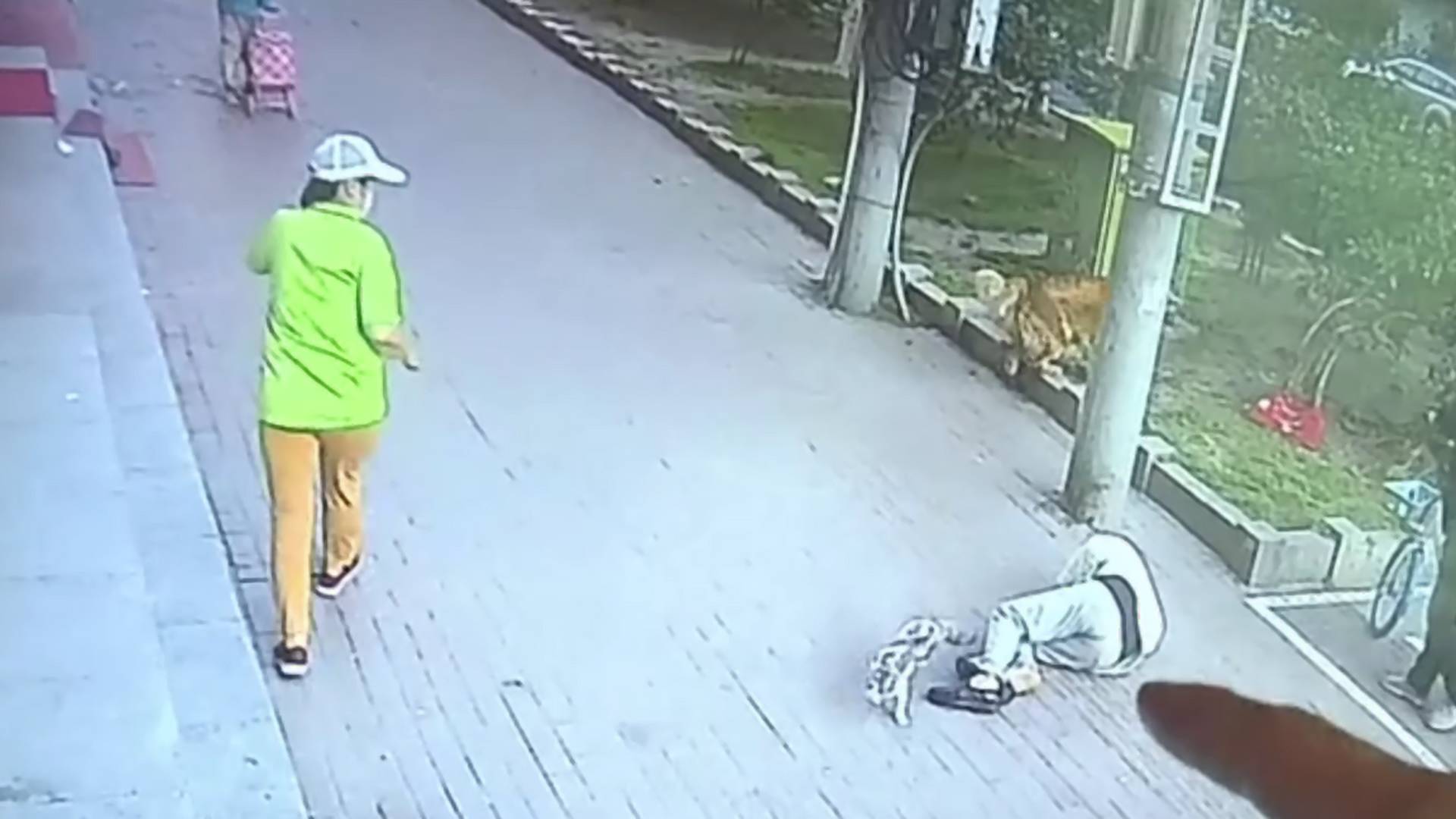 Bizarr videó: békésen sétáló nyugdíjas bácsi fejére zuhant a semmiből egy macska