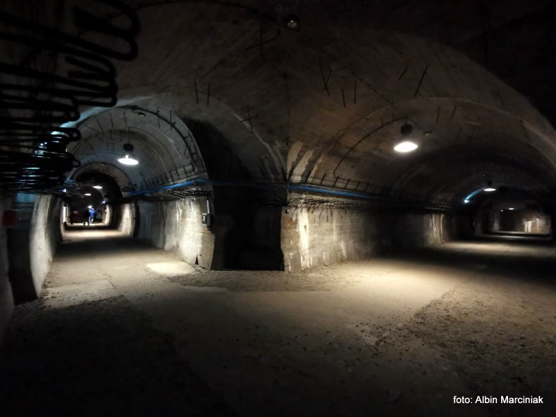 Podziemia Zamku Książ w Wałbrzychu. Jak powstały tunele i jakie tajemnice skrywają?