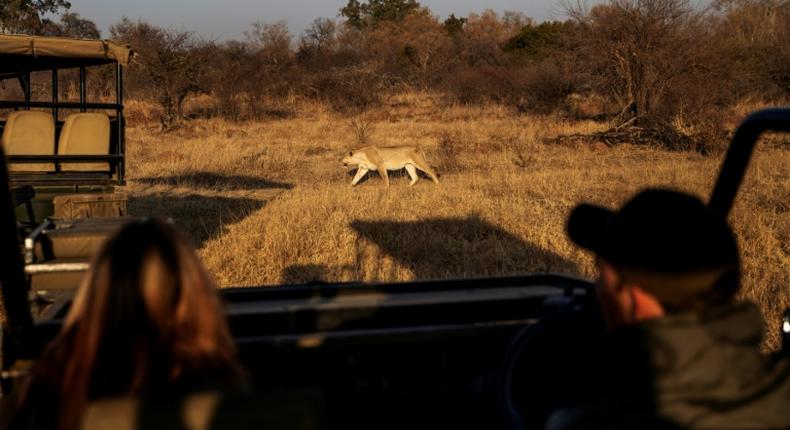 Tourists fresh from a strict coronavirus lockdown in south Africa take advantage of an easing of restrictions to visit a local safari park in need of their business after months without any income