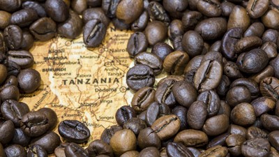 See the record-breaking amount Tanzania made in its coffee export since its independence