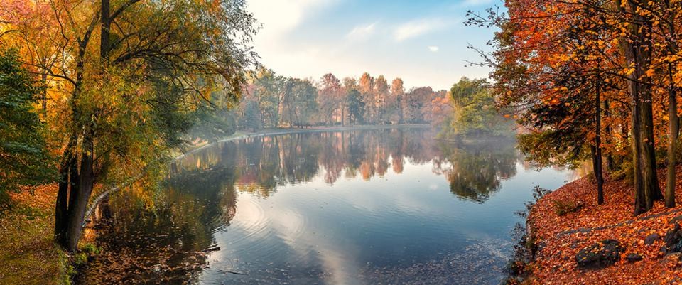 Zdjęcie autorstwa Pawła Augustyniaka 