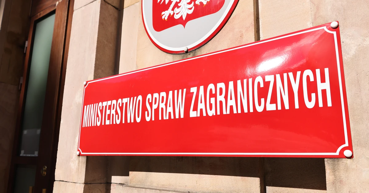 Anna Radwan-Röhrenschef odwołana z MSZ. "Polityka zagraniczna to nie miejsce na doraźne interesy"