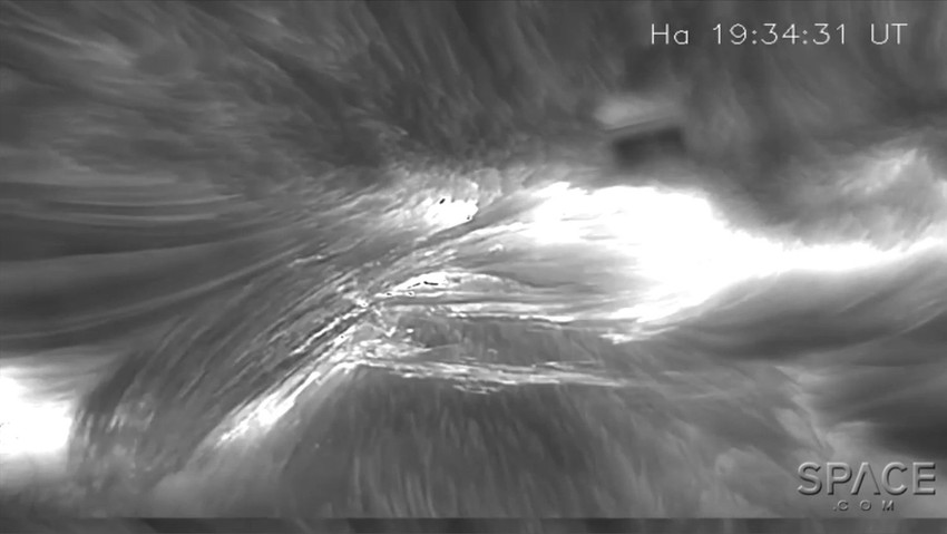 Formiranje koronalne petlje