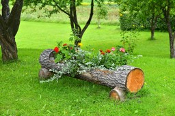 betonowe donice są już passe. to będzie hit 2026 roku. najmodniejsze donice do ogrodu