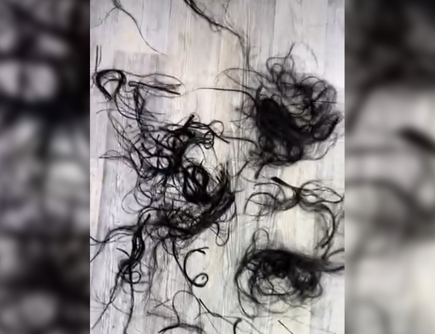 Kaca i Darko promenili imidž