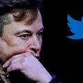 Musk zwalnia kilka tysięcy pracowników. Koncerny wstrzymują reklamy na Twitterze