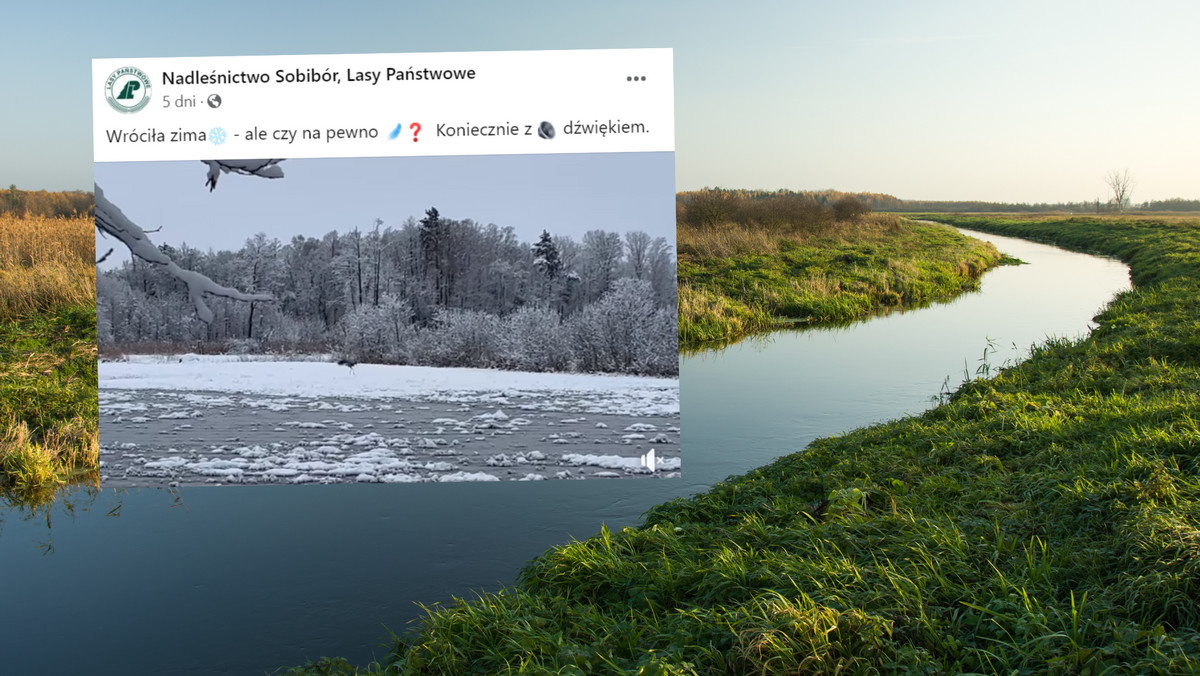 Wiosna zbliża się wielkimi krokami. Charakterystyczny dźwięk w kilku regionach