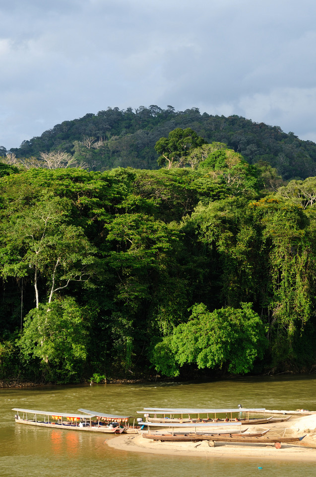 Taman Negara, Malezja