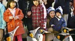 JAPAN-ANIMAL-PENGUIN