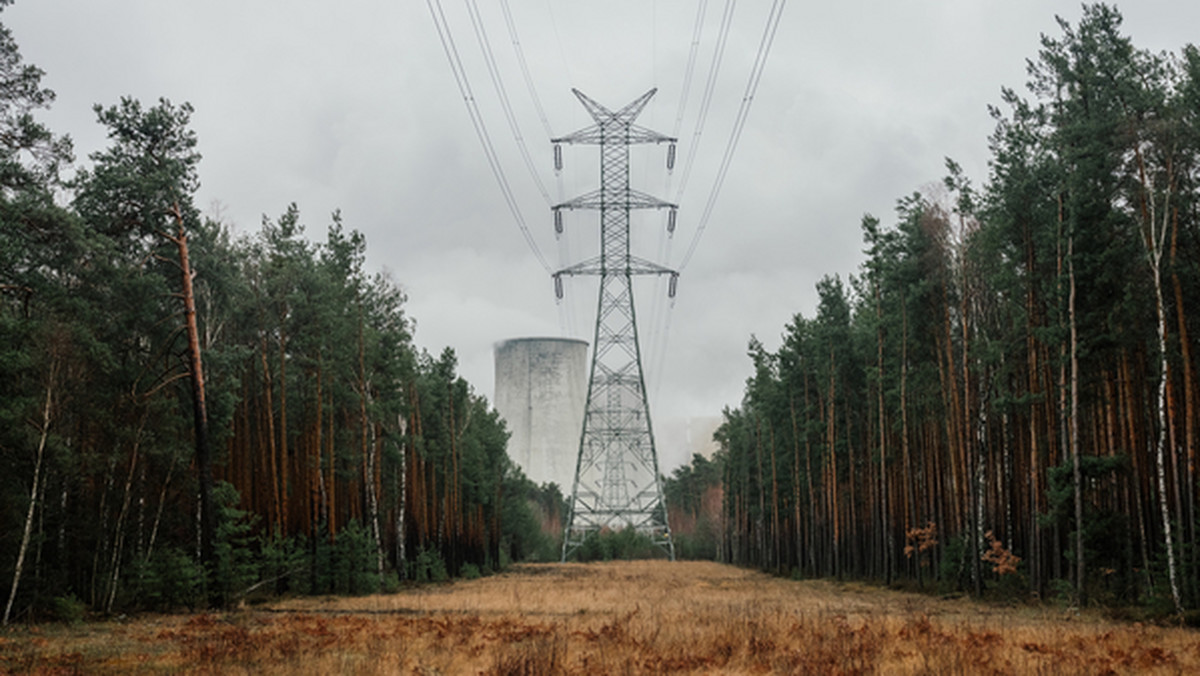 <strong>Wyspy grodzonych osiedli pod miastem, jednorodzinne domki obok ogromnych zakładów przemysłowych, małe gospodarstwa przy autostradach i wielkie blokowiska w środku niczego - polska wieś pogrążona jest dzisiaj w całkowitym chaosie przestrzennym. Problemy, z którymi od lat zmaga się prowincja, dodatkowo unaoczniła pandemia. Pozostająca do tej pory na marginesie zainteresowania architektów wieś stała się tematem wystawy w Pawilonie Polskim na tegorocznym Biennale Architektury w Wenecji. Projekt "Trouble in Paradise" ("Problemy w raju") pokazuje, że może ona stanowić odpowiedź na globalny kryzys ekologiczny czy mieszkaniowy.</strong>