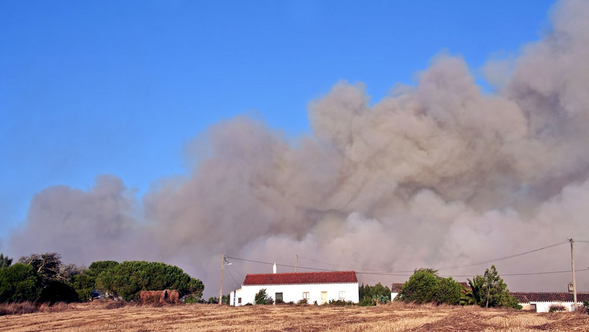 Ponad 600 strażaków walczy w sobotę z co najmniej 26 pożarami w trzech regionach Portugalii. Rozprzestrzenianiu się ognia sprzyjają podmuchy wiatru - podały portugalskie władze.