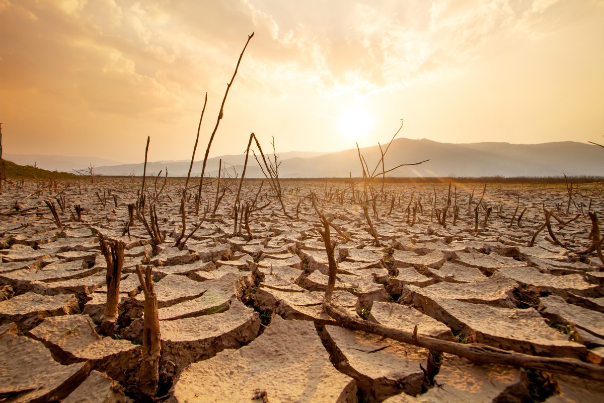 Państwowy Instytut Geologiczny przeprasza za kontrowersyjny materiał o zmianach klimatycznych