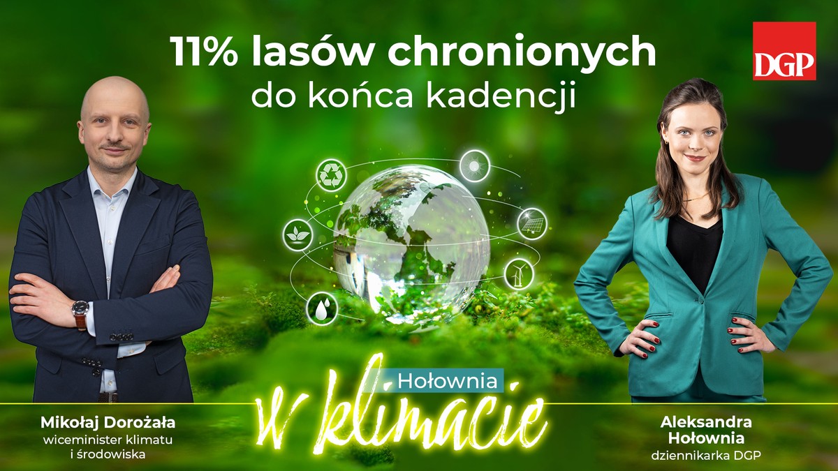 11 proc. lasów ma być chronione do końca kadencji - zapowiada Mikołaj Dorożała, wiceminister klimatu i środowiska w programie "Hołownia w klimacie"