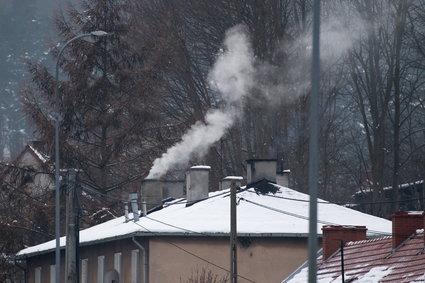 Piece na gaz jednak na dłużej? Eksperci o "luce" w dyrektywie