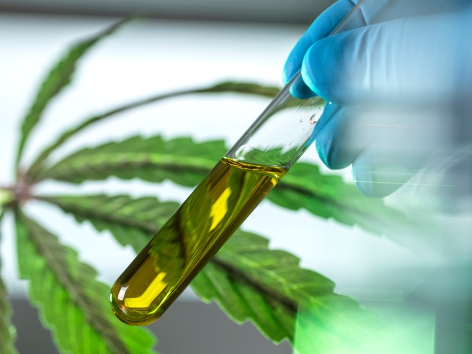 CBD: májkárosodást okozhat, és a nemzőképességet is ronthatja
