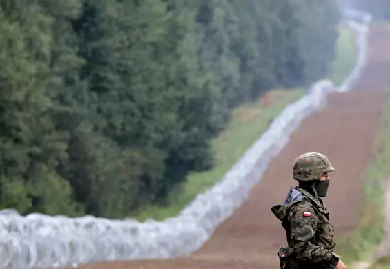 "Mur na granicy to też tragedia dla przyrody". Część polskiej populacji rysia zagrożona