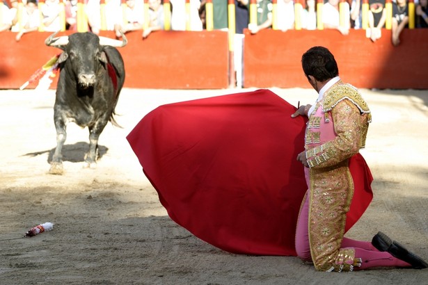 Hiszpania, Corrida Fot. Shutterstock