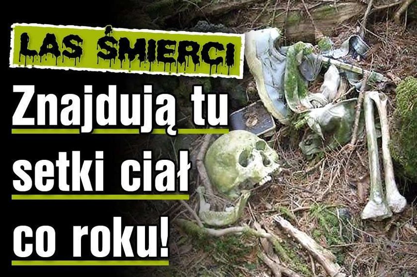 Las śmierci Znajdują tu setki ciał co roku